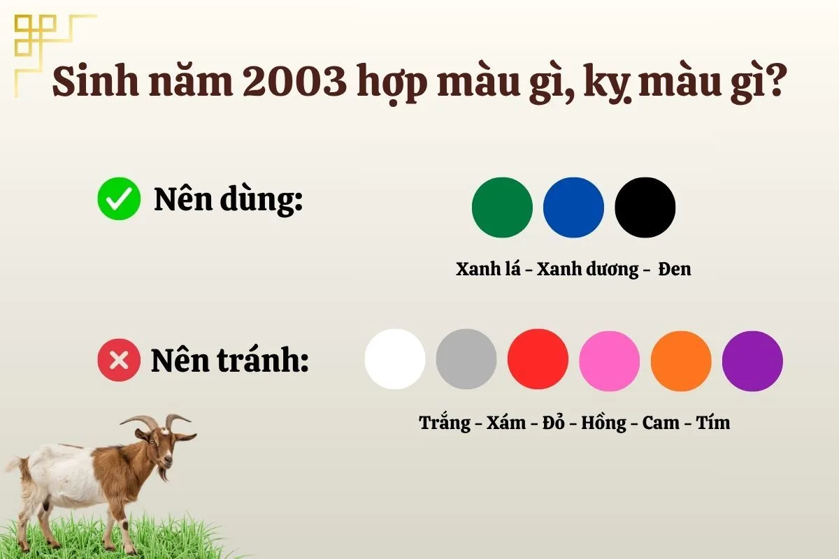nguoi-sinh-2003-hop-mau-gi-10023